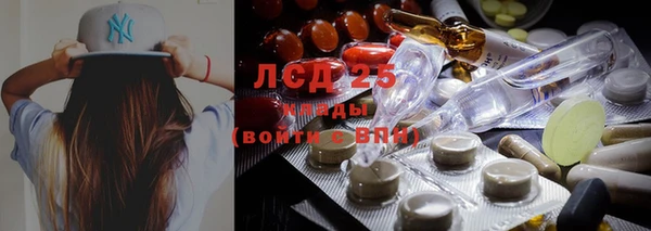 спиды Белокуриха
