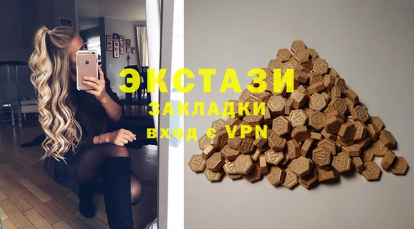 индика Покачи
