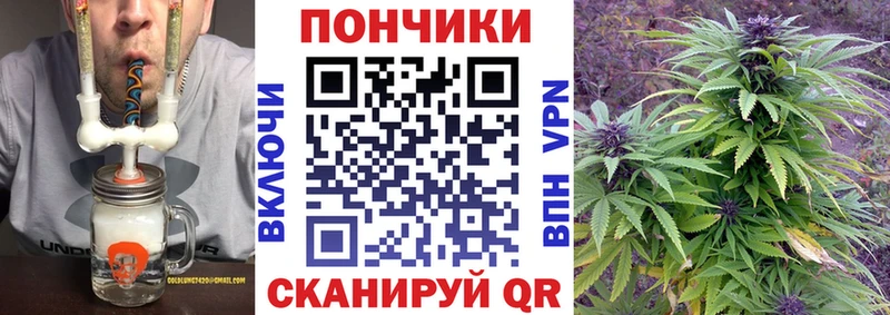 хочу наркоту  Теберда  Марихуана тримм 